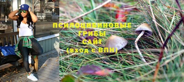 apvp Пересвет
