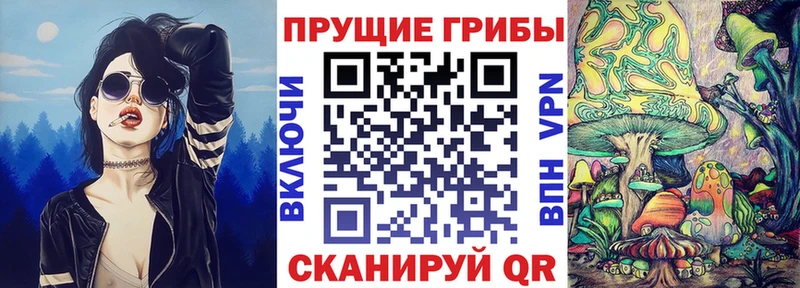 МЕГА tor  Рыльск  Псилоцибиновые грибы MAGIC MUSHROOMS  нарко площадка телеграм  магазин продажи  