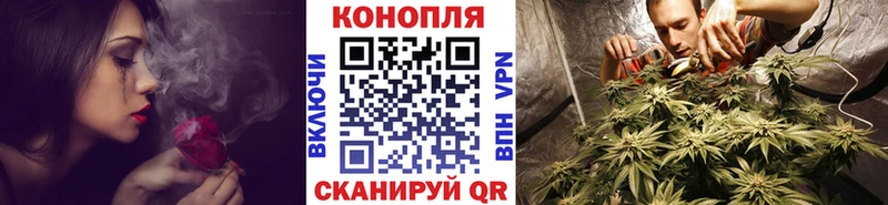 где продают   Рыльск  Конопля White Widow 